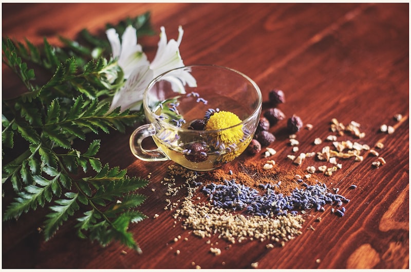 Top Evidence-Based Nootropics for Enhanced Cognitive Clarity and Focus