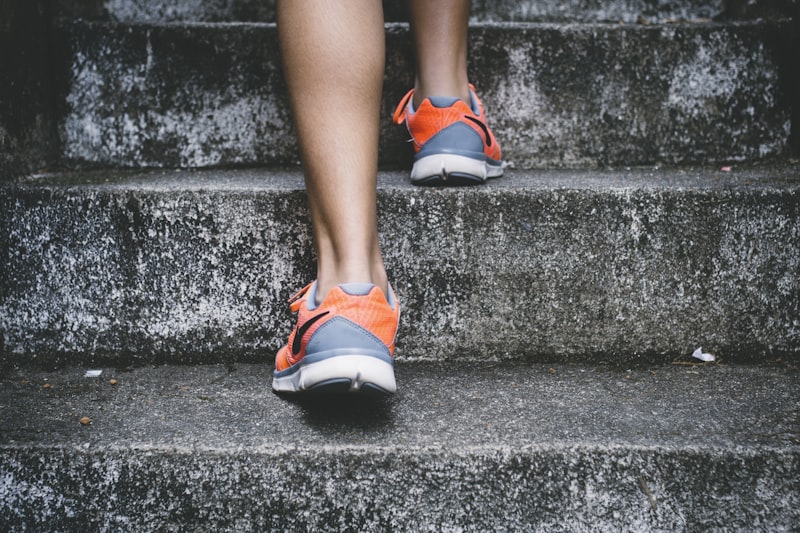 Zone 2 Cardio Training: How Low-Intensity Aerobic Base Extends Healthspan